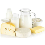 mini-laiterie-transformation-des-produits-laitiers